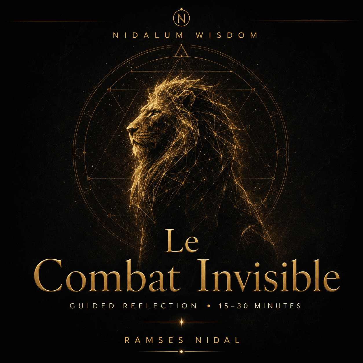 Le Combat Invisible